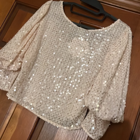 NWT Sequin Top - Picture 2 of 6